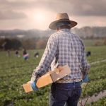 FarmWorker FarmWorker