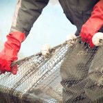 FishermanNet FishermanNet