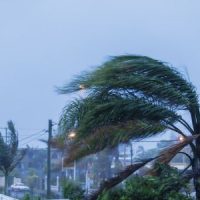 Hurricane_Windy